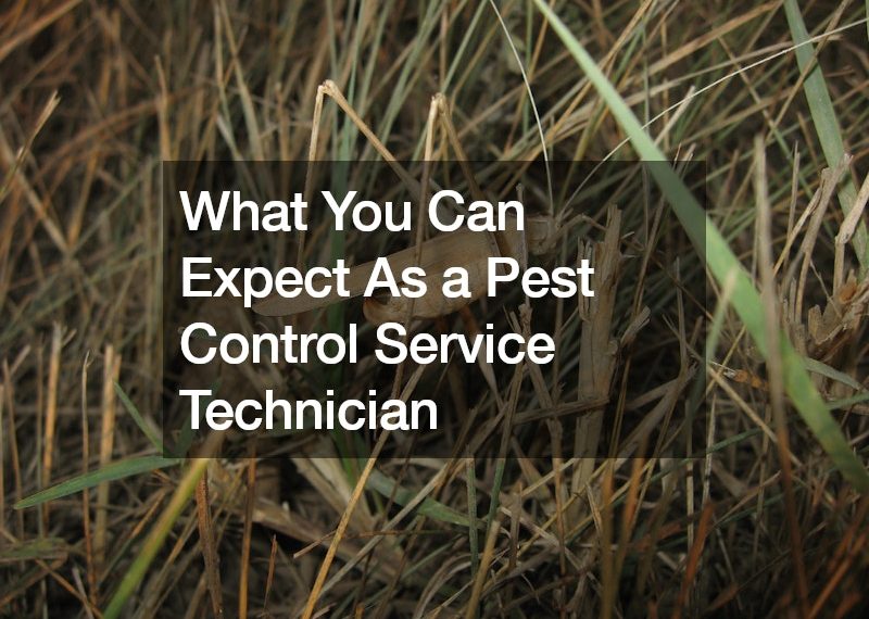 What You Can Expect As a Pest Control Service Technician
