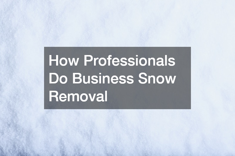 How Professionals Do Business Snow Removal