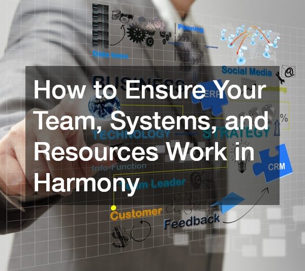 How to Ensure Your Team, Systems, and Resources Work in Harmony