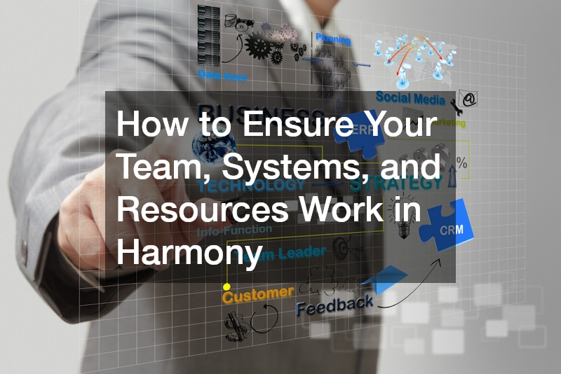 How to Ensure Your Team, Systems, and Resources Work in Harmony